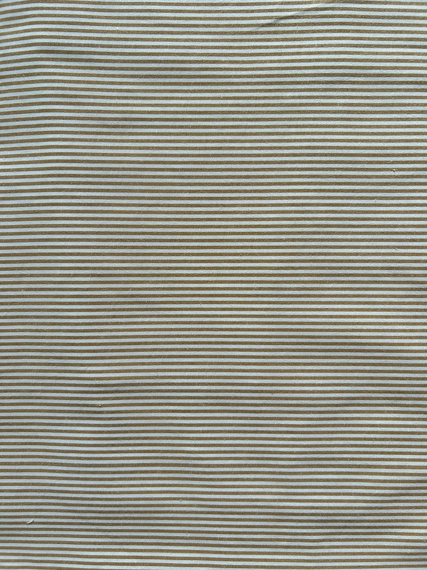 Beige PC plain stripe FBS026106