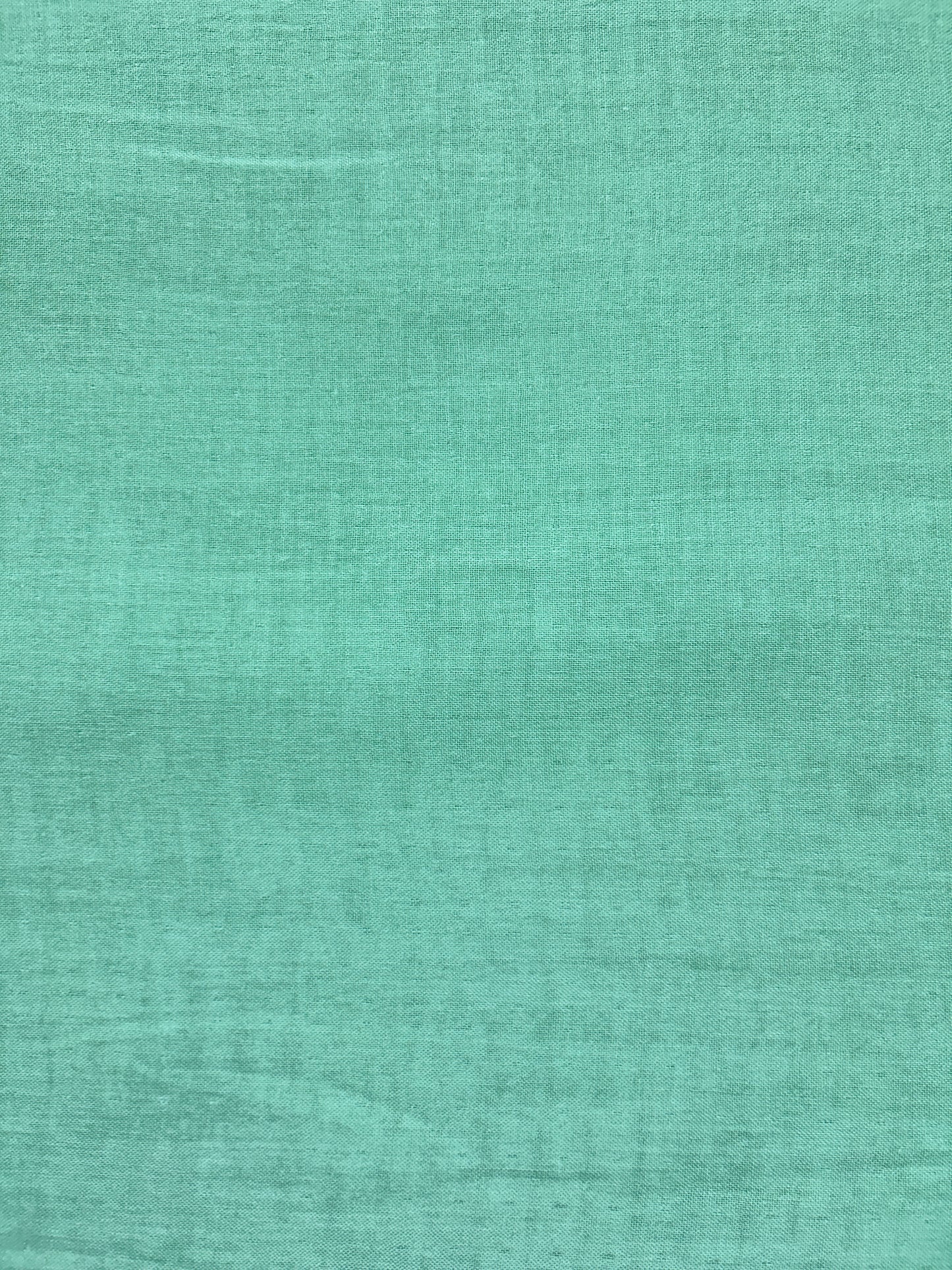 Light Green Double Cloth Fabric FBS026126